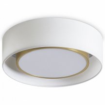 Потолочный светильник Freya Cozy FR6170CL-L52BS