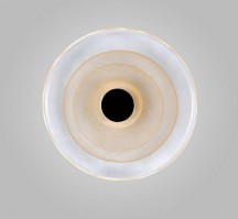 Накладной светильник Aployt Stusia APL.350.01.03