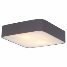 Потолочный светильник на кухню Arte Lamp  a7210PL-2BK