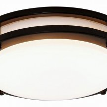 Настенно-потолочный светильник для ванной Citilux  cL709205N