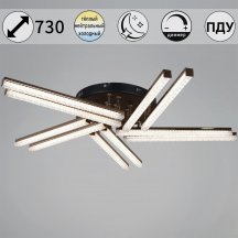 Светильник потолочный Reluce 17090-0.3-10 BK+FG