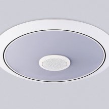 Накладной светильник Ambrella Light  FZ710