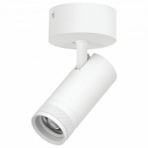 Спот Canno Pro C4206SO