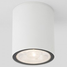 Уличный светодиодный светильник Elektrostandard Light 35131/H белый a056230