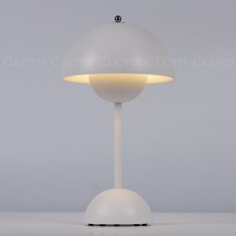 Интерьерная настольная лампа Cloyd Erma 30135