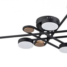 Потолочная люстра Arte Lamp Taygeta A2455PL-6BK