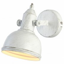 Настенно-потолочный светильник для кухни Arte Lamp  a5213AP-1WG
