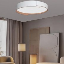 Потолочный светильник Alfa Light F0724-31