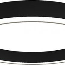 Потолочный светильник Aura DL800C72WW Black
