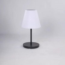 Интерьерная настольная лампа  F3824-08