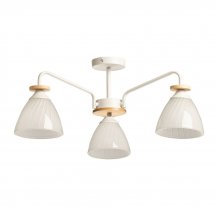 Потолочная люстра Дэла 116010103