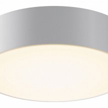 Потолочный светильник уличный Maytoni Zon IP O431CL-L30W3K