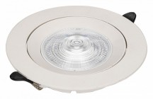 Точечный светильник Zortes Raiz ZRS.57795.10