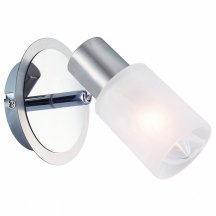 Настенно-потолочный светильник Arte Lamp Cavalletta A4510AP-1SS итальянский
