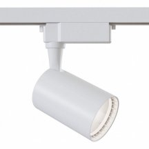  в гостиную Maytoni  tR003-1-12W3K-W
