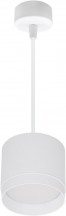 Подвесной светильник Reluce 53007-0.9-001LD GX53 WT