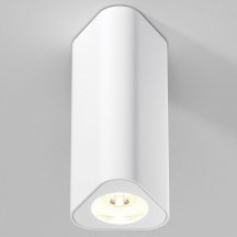 Потолочный светильник Elektrostandard 25110/LED a067063