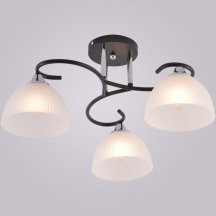 Потолочная люстра  01635-0.3-03 BK+CR