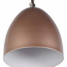 Подвесной светильник лофт Arti Lampadari  nota E 1.3.P1 BR