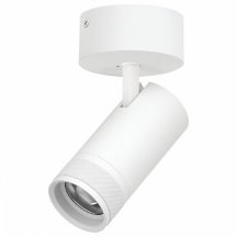 Спот Lightstar Canno Pro C4306SO