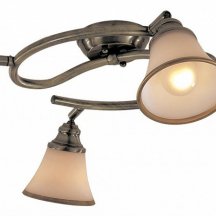Спот Citilux  CL511143
