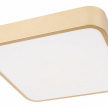 Потолочный светильник Loft IT Flims 10228/C