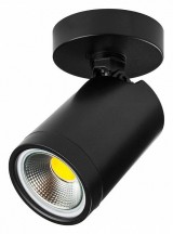 Точечный светильник Lightstar Rullo 213407