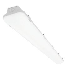 Промышленный потолочный светильник STD ДСП14-32-001-6К