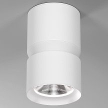 Потолочный светодиодный светильник Elektrostandard Kayo 25049/LED 12W 4000К белый a064730