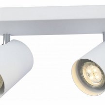 Настенно-потолочный светильник ST Luce Fanale SL597.501.02