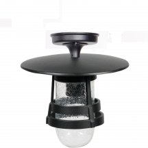 Потолочный светильник уличный Oasis Light TOKIO 2 68905A Bl