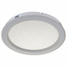 Потолочный светильник Escada Signum 607/S LED