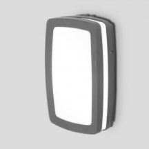 Настенный светильник уличный Oasis Light SIDNEY 3382 Gr