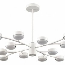 Потолочная люстра Lumion Torina 8265/12