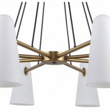 Подвесная люстра Favourite Vision 2763-8P