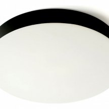 Потолочный светильник Feron 48884