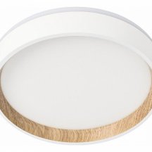 Настенно-потолочный светильник Citilux Etalon CL750180