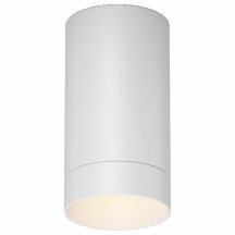 Потолочный светильник уличный Luxe O500CL-L5W3K