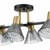 Потолочная люстра Lumion Anriya 8044/6C