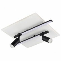 Потолочный светильник Lumion Stells 8256/40CL