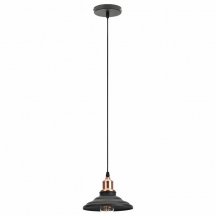 Подвесной светильник ЭРА Loft PL4 BK/RC