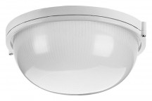 Накладной светильник Wolta  ДПБ03-100-001