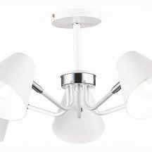 Потолочная люстра Evoluce Lere SLE106702-05