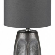 Интерьерная настольная лампа Lumion Akivi 8147/1Т