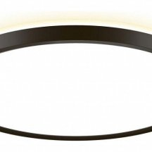 Накладной светильник Citilux NORMA CL748321