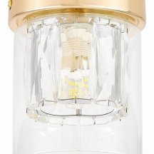 Накладной светильник Lampit DENI TC 2020-1 FGD