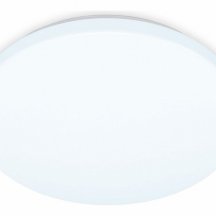 Потолочный светильник Ambrella light ORBITAL FZ1010