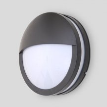 Настенный светильник уличный Oasis Light SIDNEY 3363 Gr