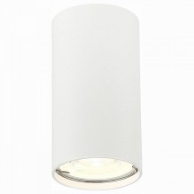 Потолочный светильник ST Luce ST110.507.01