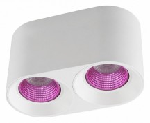 Точечный светильник Denkirs DK3096-WH+PI